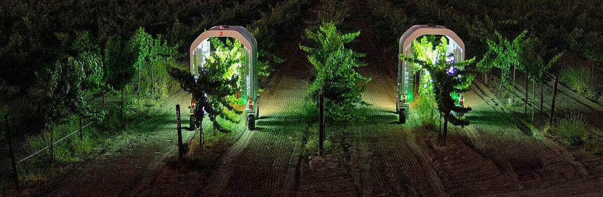 Saga-Robotics-in-California-vineyard1